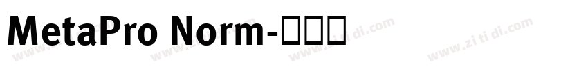 MetaPro Norm字体转换